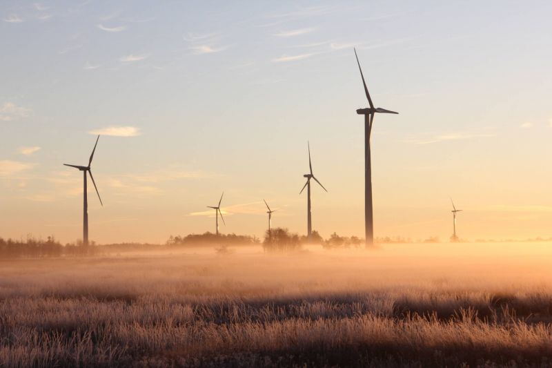 Eolise - Folles Eolise - Folles