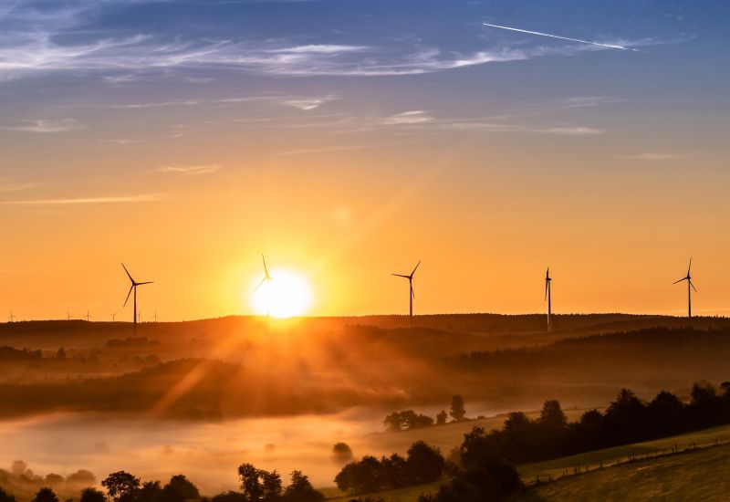 Eolise - Louin Eolise - Louin