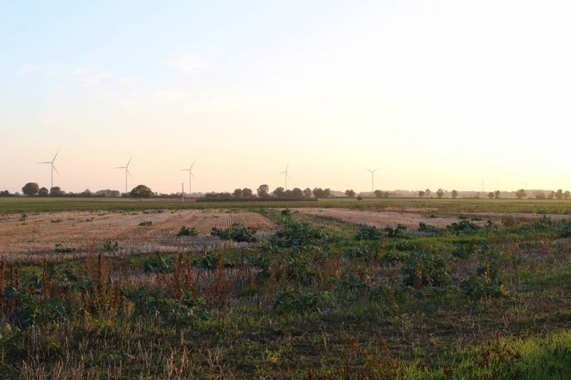 Eolise - Plain de Balusson