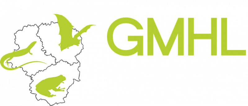 Groupe Mammalogique et Herpétologique du Limousin